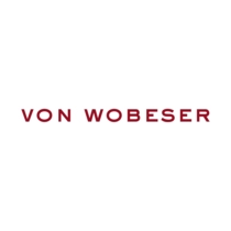 the Von Wobeser y Sierra logo.