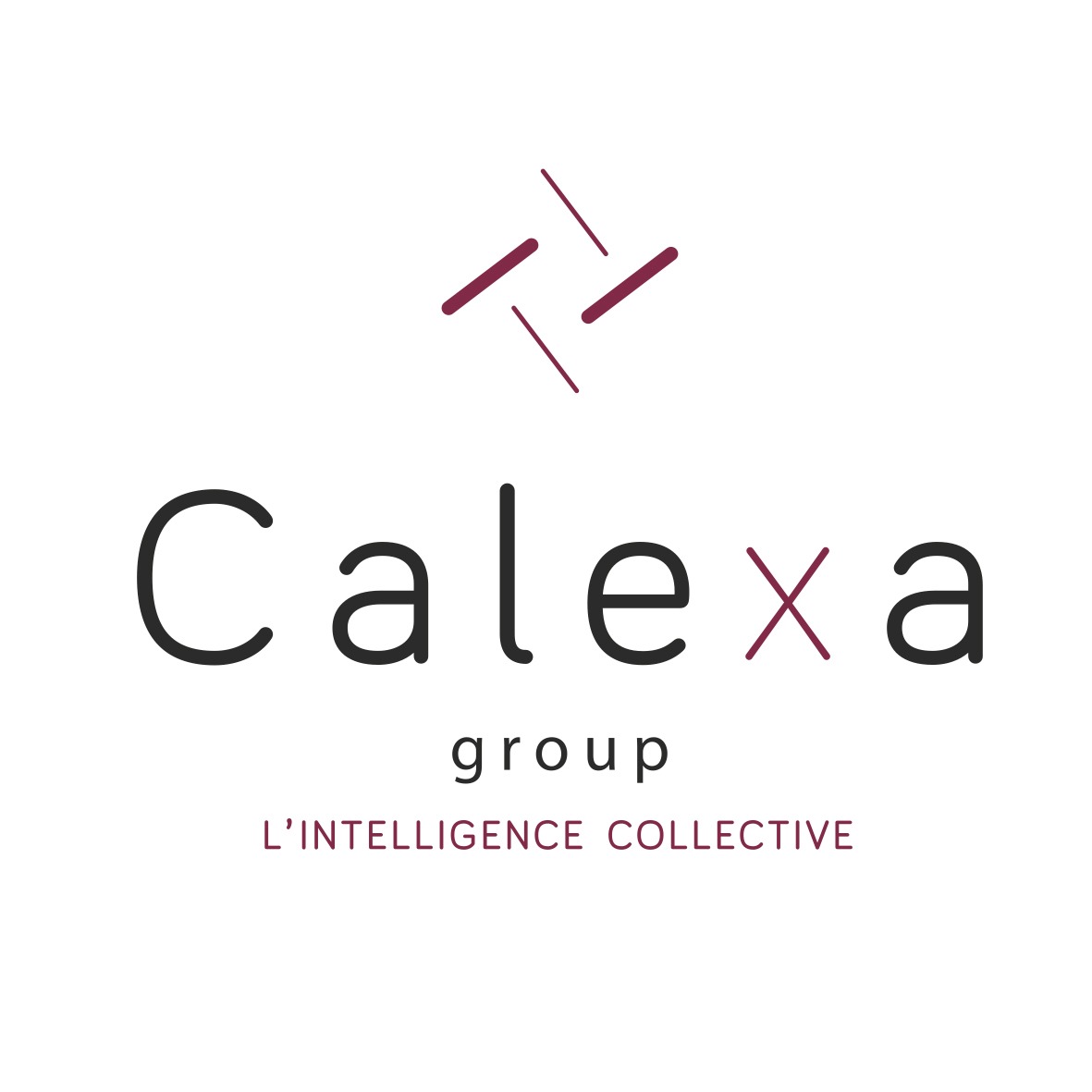 the Calexa Group logo.