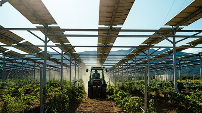 Agrivoltaïsme : quand l’agriculture cultive la transition énergétique
