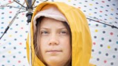 Ciel, revoilà Greta Thunberg